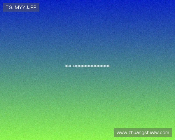 热刺CEO称刘易斯家族热情专注俱乐部发展强调球队并非出售核心